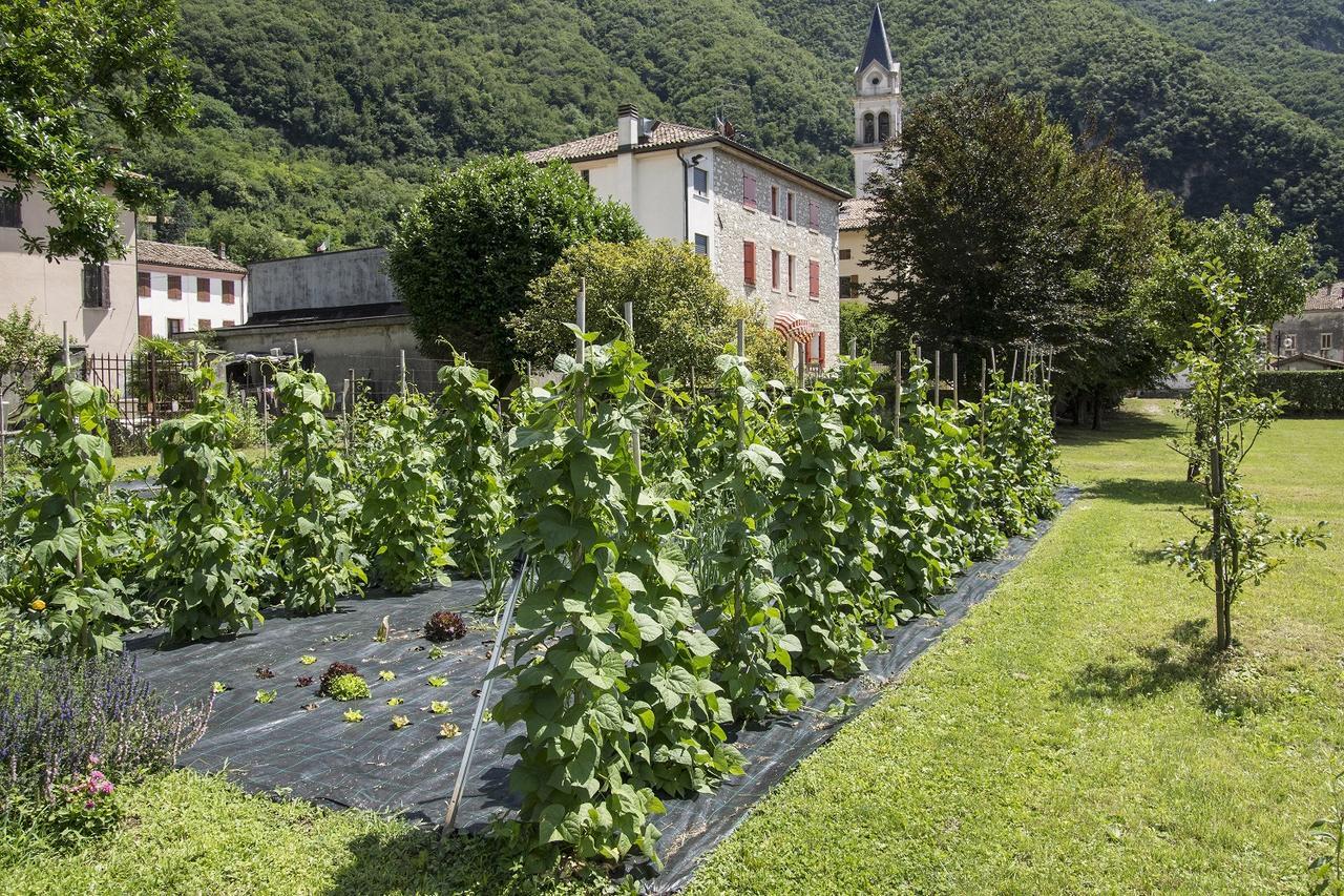 Locanda Solagna Quero Ngoại thất bức ảnh